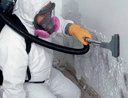 Trusted Sublette, KS Mold Removal & Remediation Experts